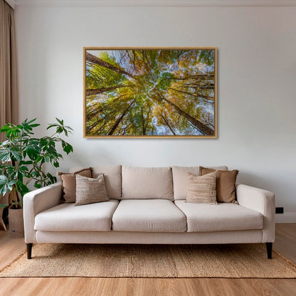 Hêtres en peinture