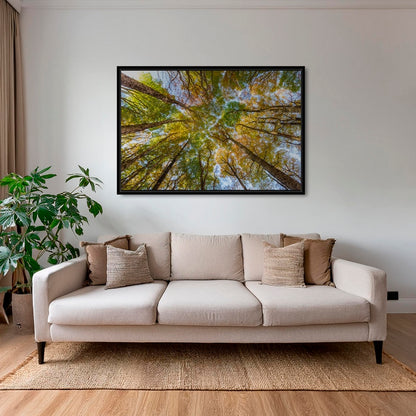 Hêtres en peinture