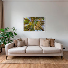 Charger l&#39;image dans la galerie, Hêtres en peinture
