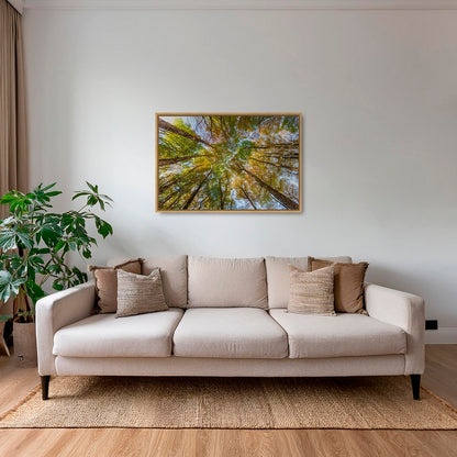 Hêtres en peinture