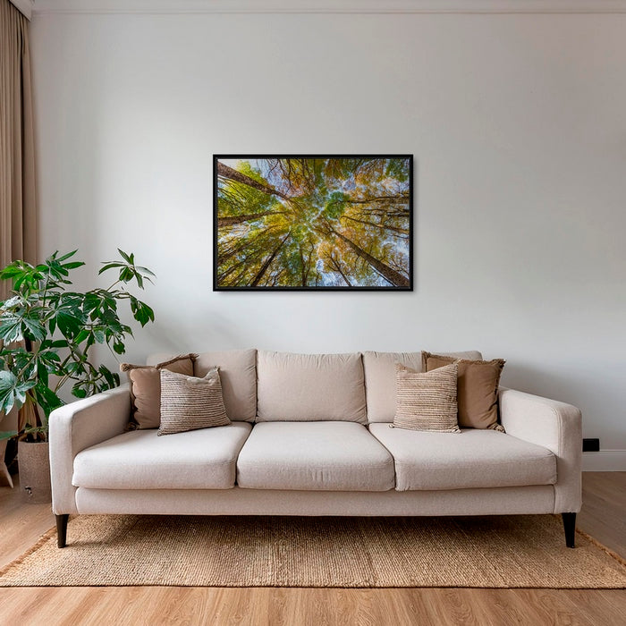 Hêtres en peinture