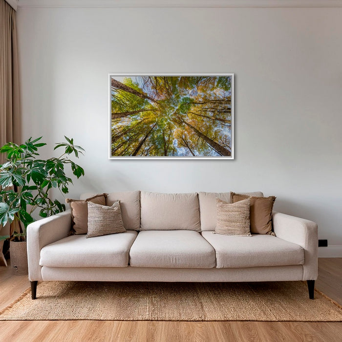 Hêtres en peinture