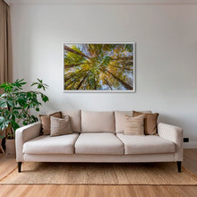 Charger l&#39;image dans la galerie, Hêtres en peinture
