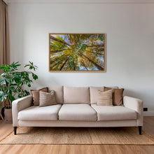 Charger l&#39;image dans la galerie, Hêtres en peinture
