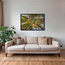 Charger l&#39;image dans la galerie, Hêtres en peinture
