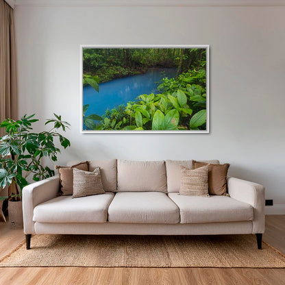 Couleurs tropicales