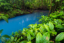 Charger l&#39;image dans la galerie, Couleurs tropicales
