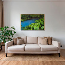 Charger l&#39;image dans la galerie, Couleurs tropicales
