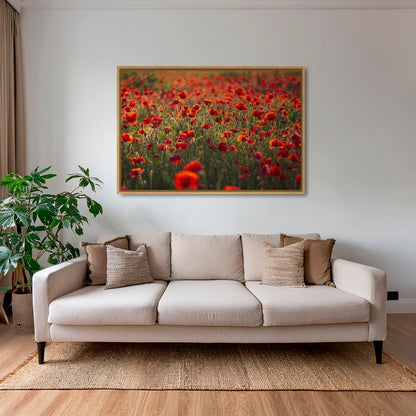 Rouge coquelicots