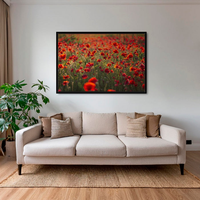Rouge coquelicots