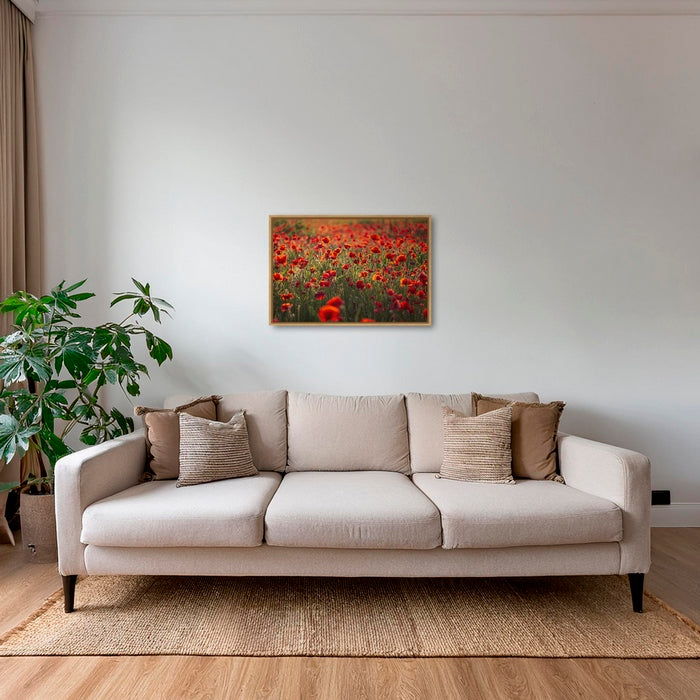 Rouge coquelicots