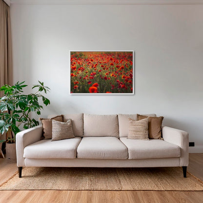 Rouge coquelicots