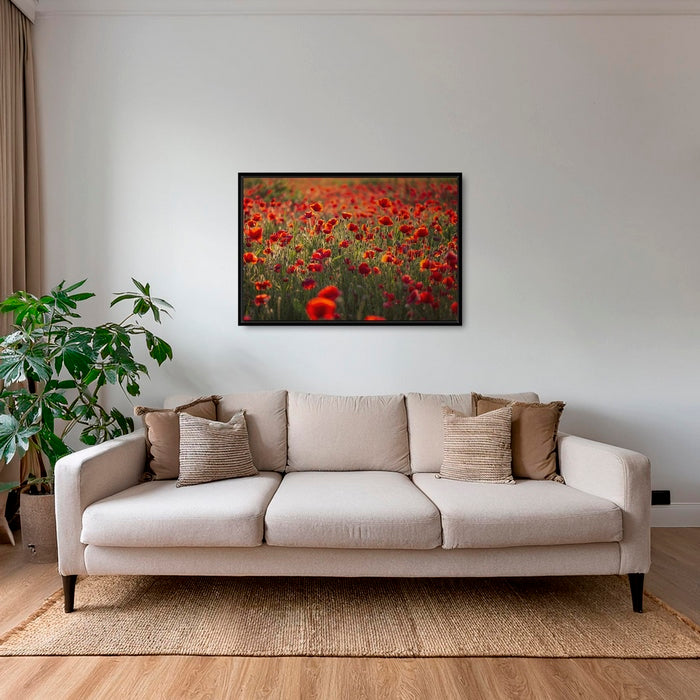 Rouge coquelicots