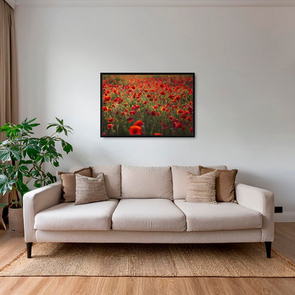 Rouge coquelicots