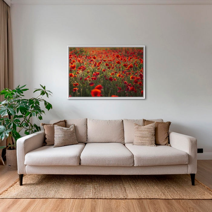 Rouge coquelicots
