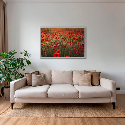 Rouge coquelicots
