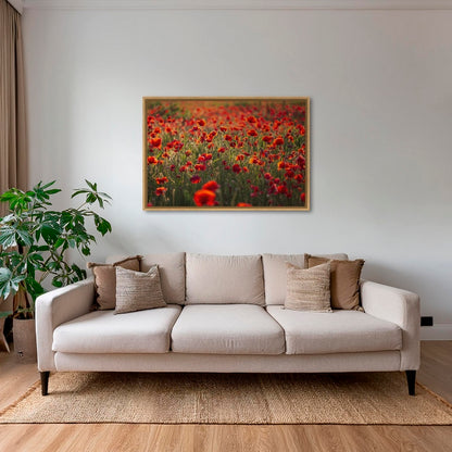 Rouge coquelicots