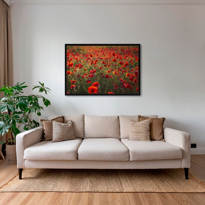 Rouge coquelicots
