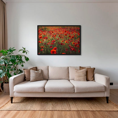 Rouge coquelicots