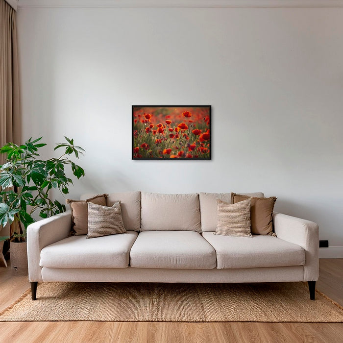 Rouge coquelicots 2