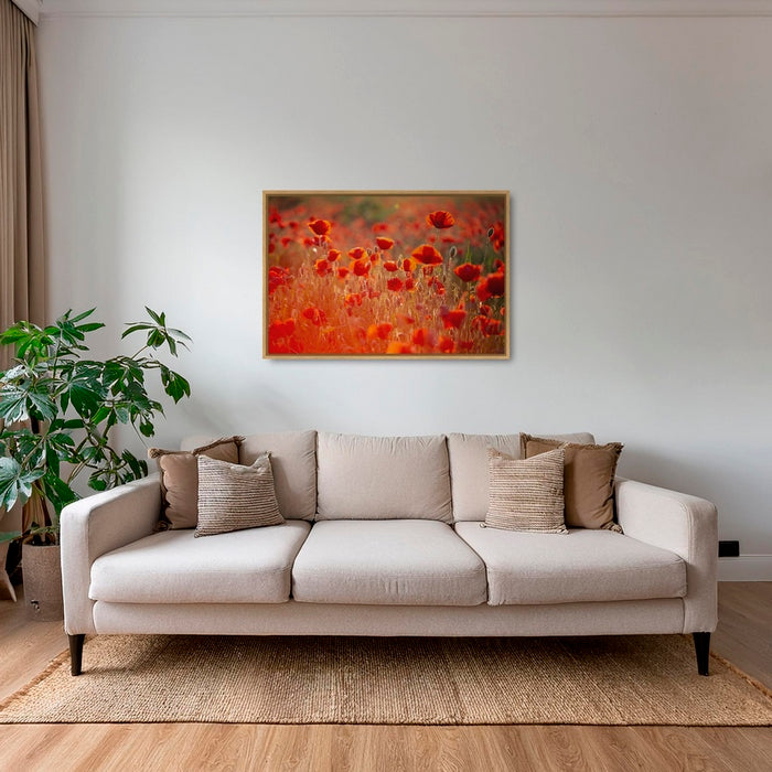 Rouge coquelicots 3