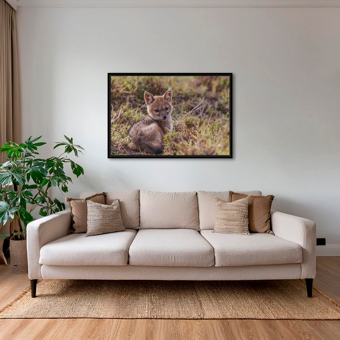 Douceur canine