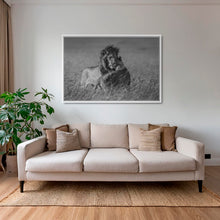 Charger l&#39;image dans la galerie, Calin royal
