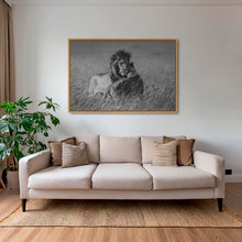 Charger l&#39;image dans la galerie, Calin royal
