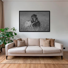 Charger l&#39;image dans la galerie, Calin royal
