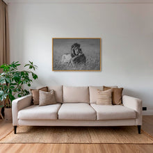 Charger l&#39;image dans la galerie, Calin royal
