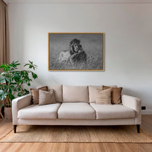 Charger l&#39;image dans la galerie, Calin royal
