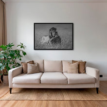 Charger l&#39;image dans la galerie, Calin royal
