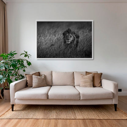 Savane royale