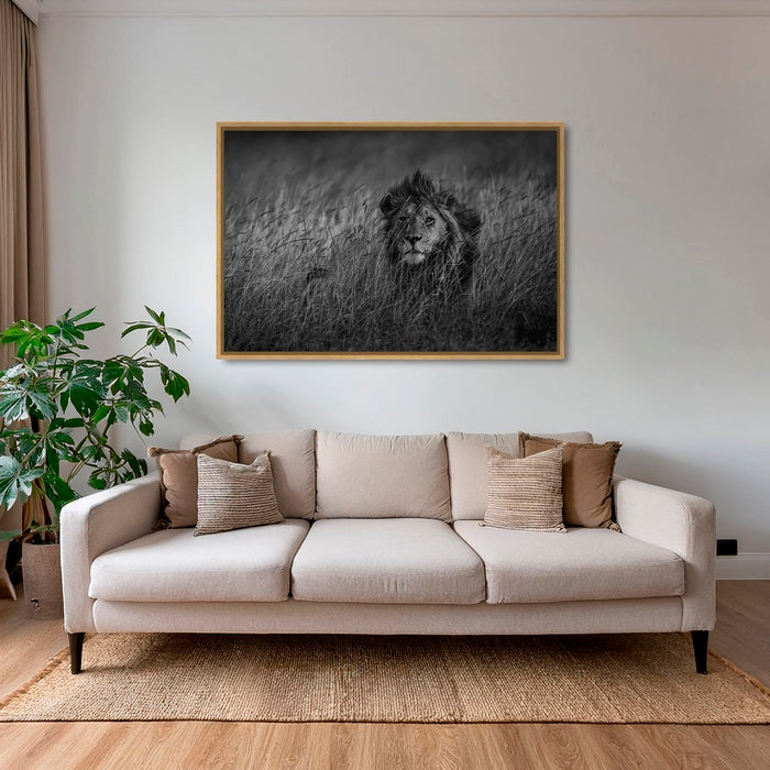 Savane royale