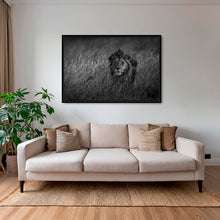 Charger l&#39;image dans la galerie, Savane royale
