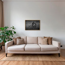 Charger l&#39;image dans la galerie, Savane royale
