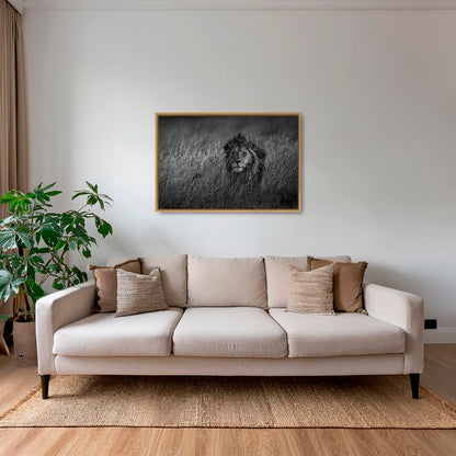 Savane royale