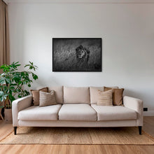 Charger l&#39;image dans la galerie, Savane royale
