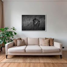 Charger l&#39;image dans la galerie, Savane royale
