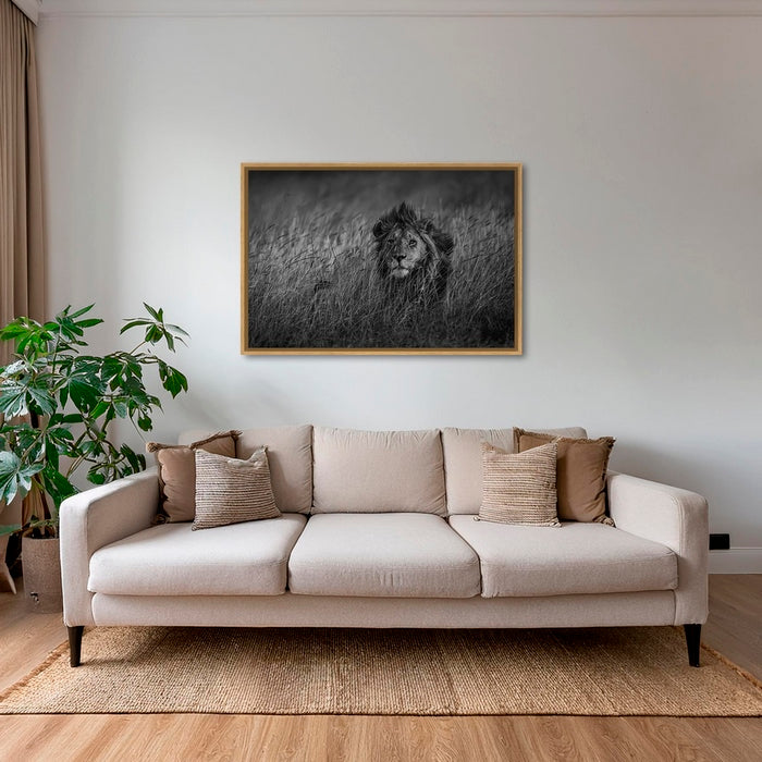 Savane royale