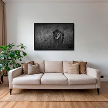 Charger l&#39;image dans la galerie, Savane royale
