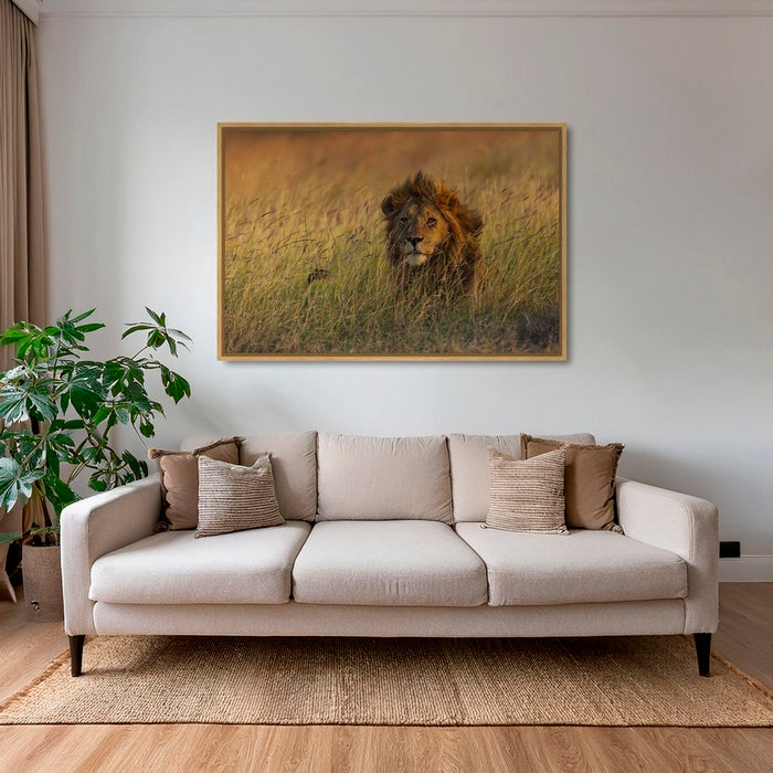 Savane royale 2
