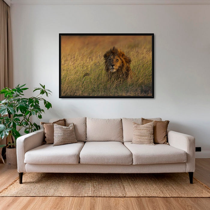 Savane royale 2