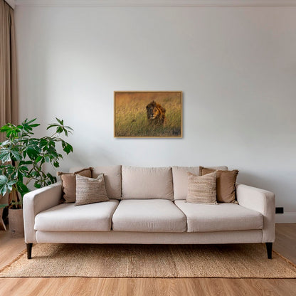 Savane royale 2