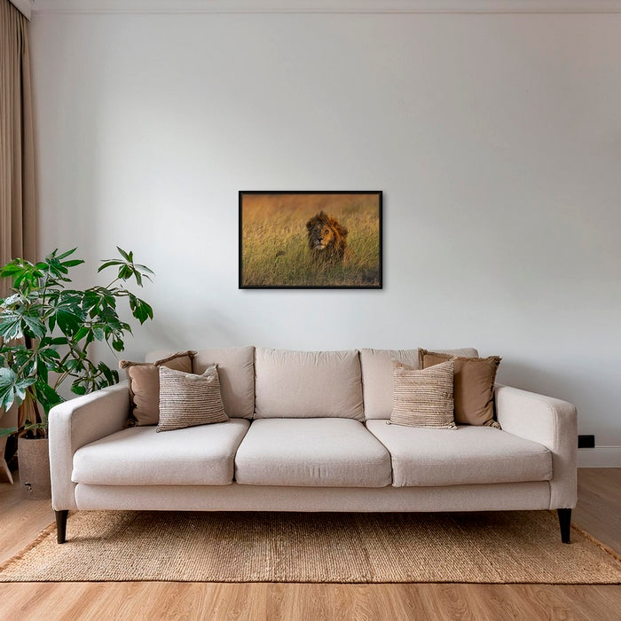 Savane royale 2