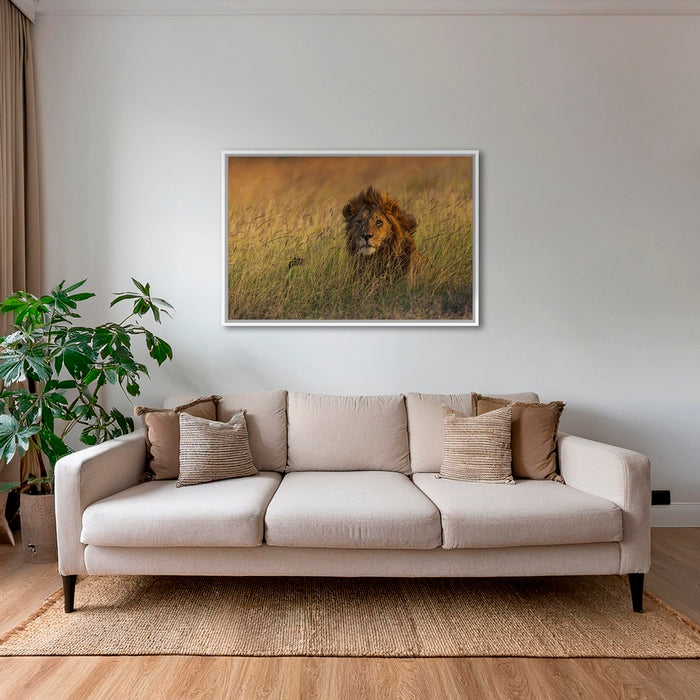 Savane royale 2