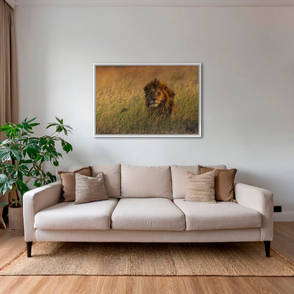 Savane royale 2
