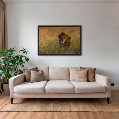 Savane royale 2