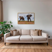 Charger l&#39;image dans la galerie, Dans la boîte
