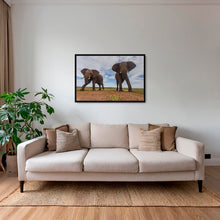 Charger l&#39;image dans la galerie, Dans la boîte
